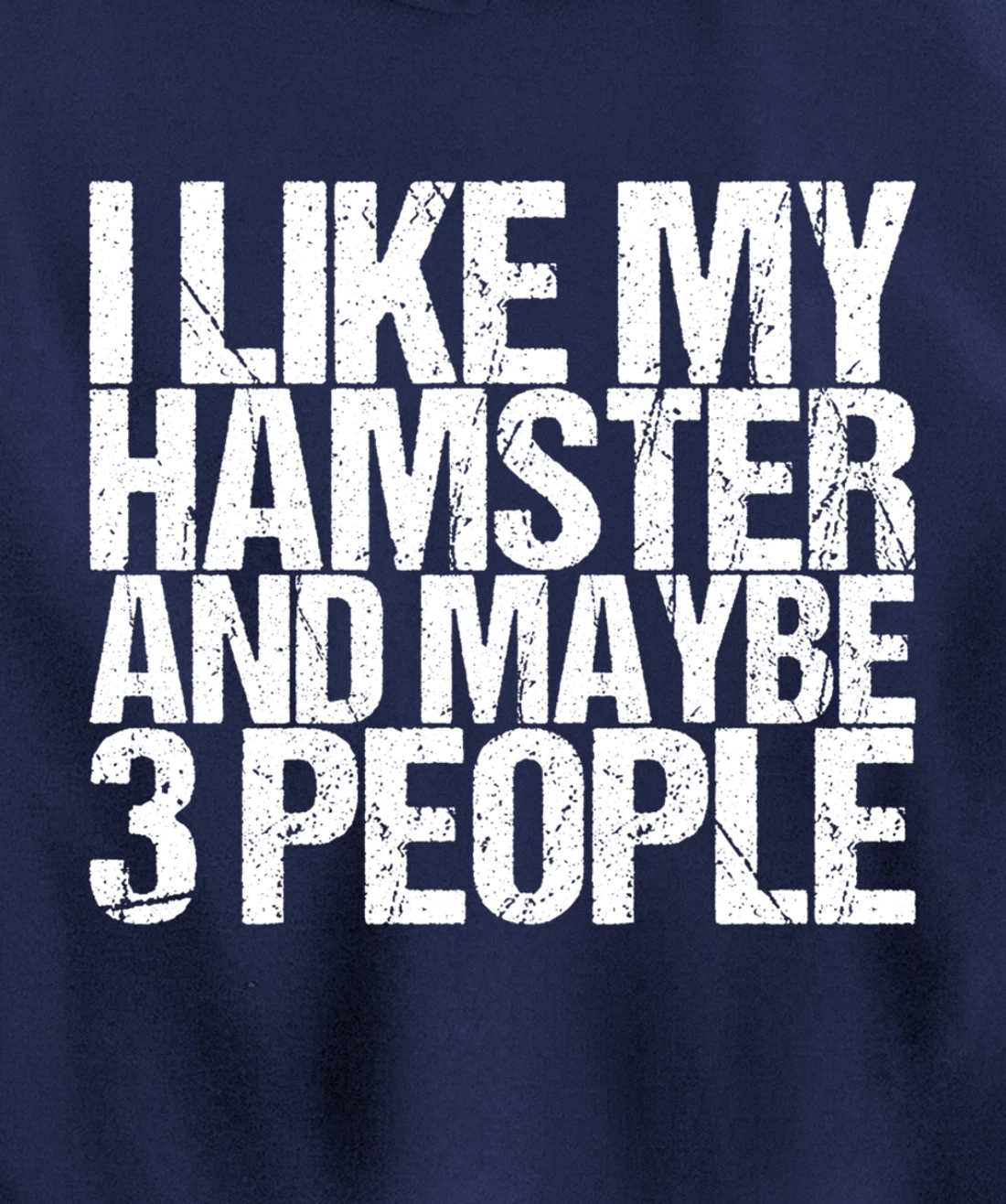 I Like My Hamster And Maybe 3 People Pullover Hoodie