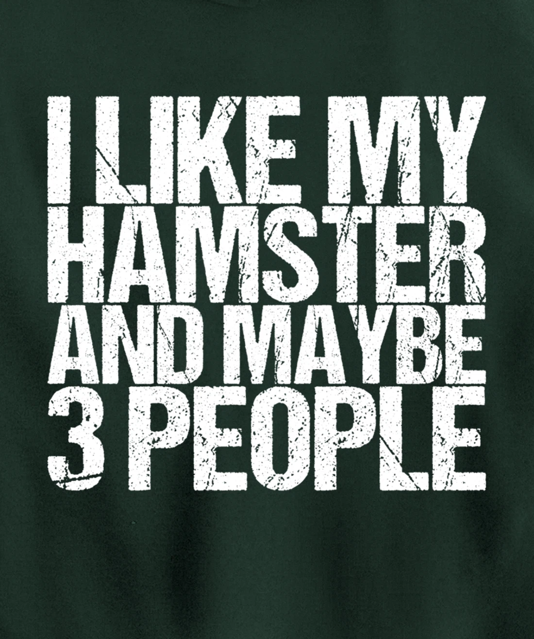 I Like My Hamster And Maybe 3 People Pullover Hoodie