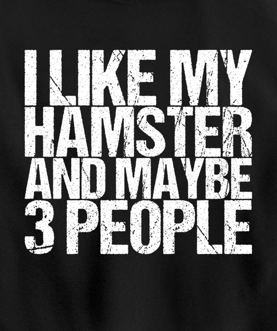 I Like My Hamster And Maybe 3 People Pullover Hoodie