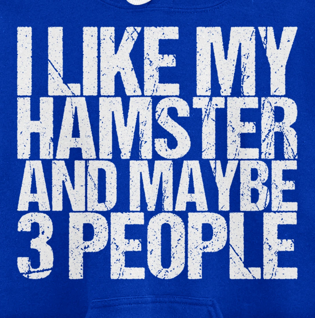 I Like My Hamster And Maybe 3 People Pullover Hoodie