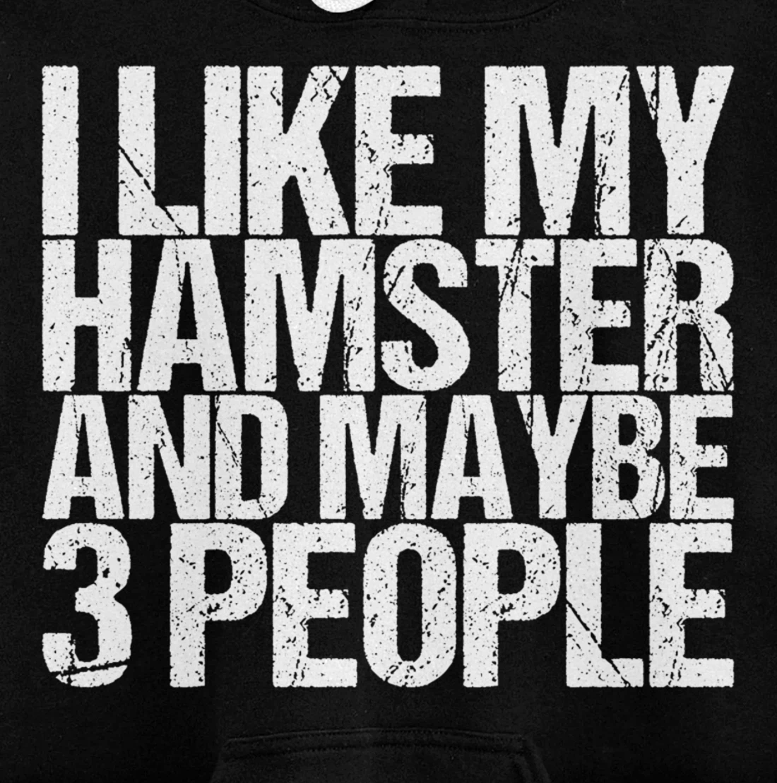 I Like My Hamster And Maybe 3 People Pullover Hoodie