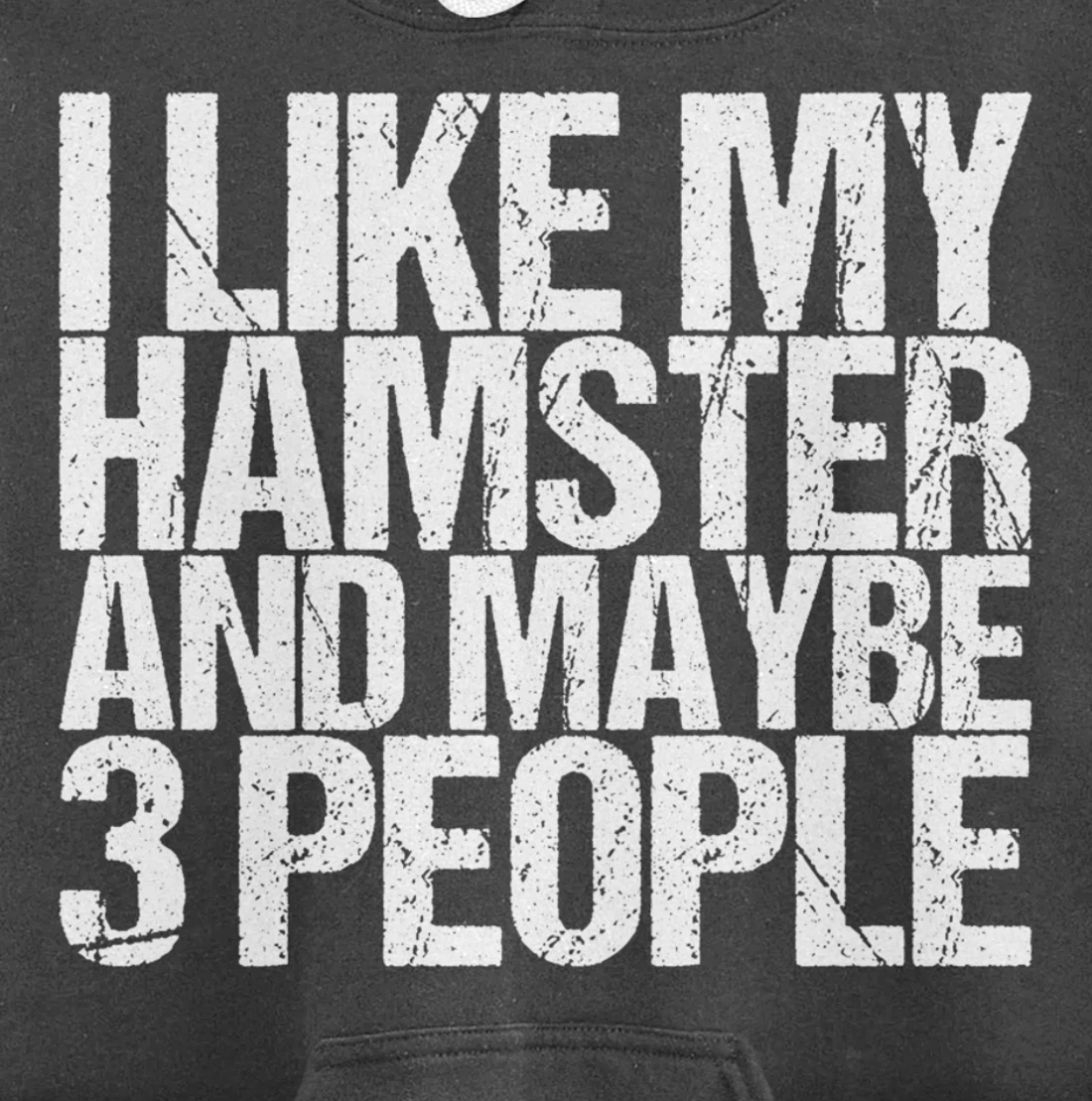 I Like My Hamster And Maybe 3 People Pullover Hoodie