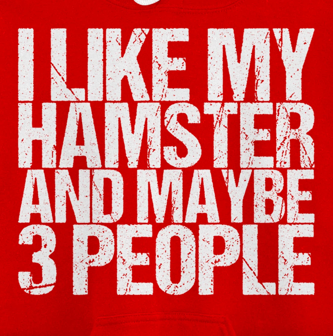 I Like My Hamster And Maybe 3 People Pullover Hoodie