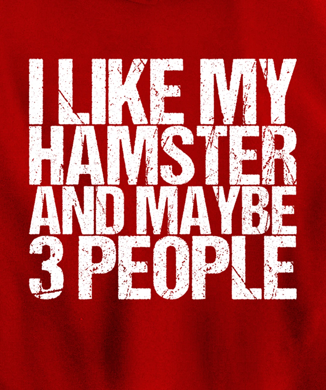 I Like My Hamster And Maybe 3 People Pullover Hoodie