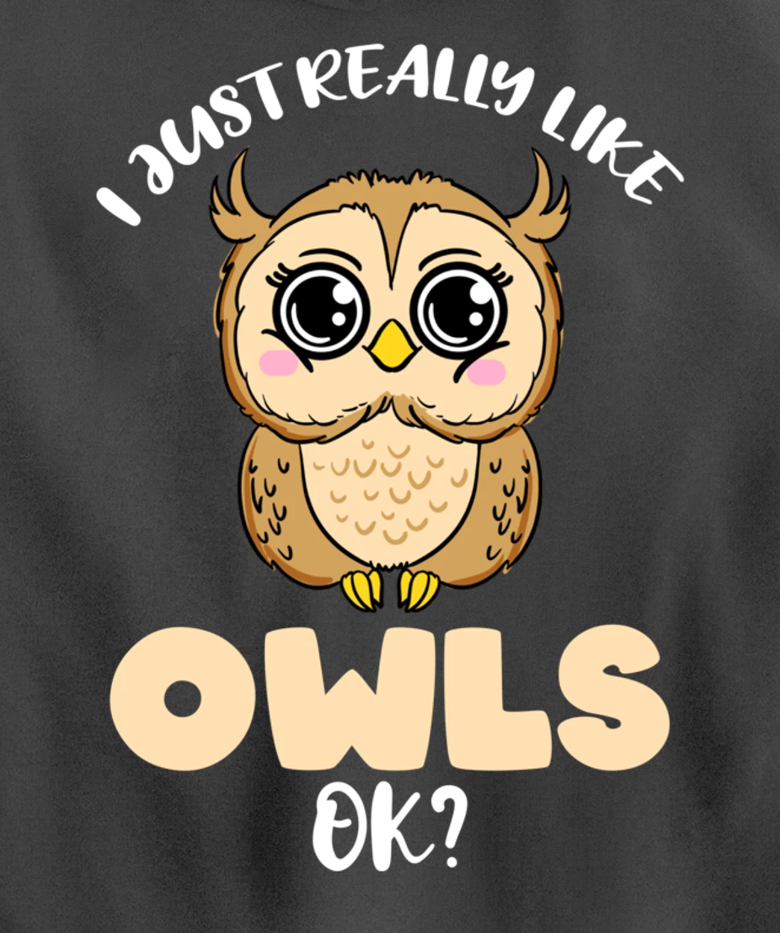 I Just Really Like Owls Ok Pullover Hoodie