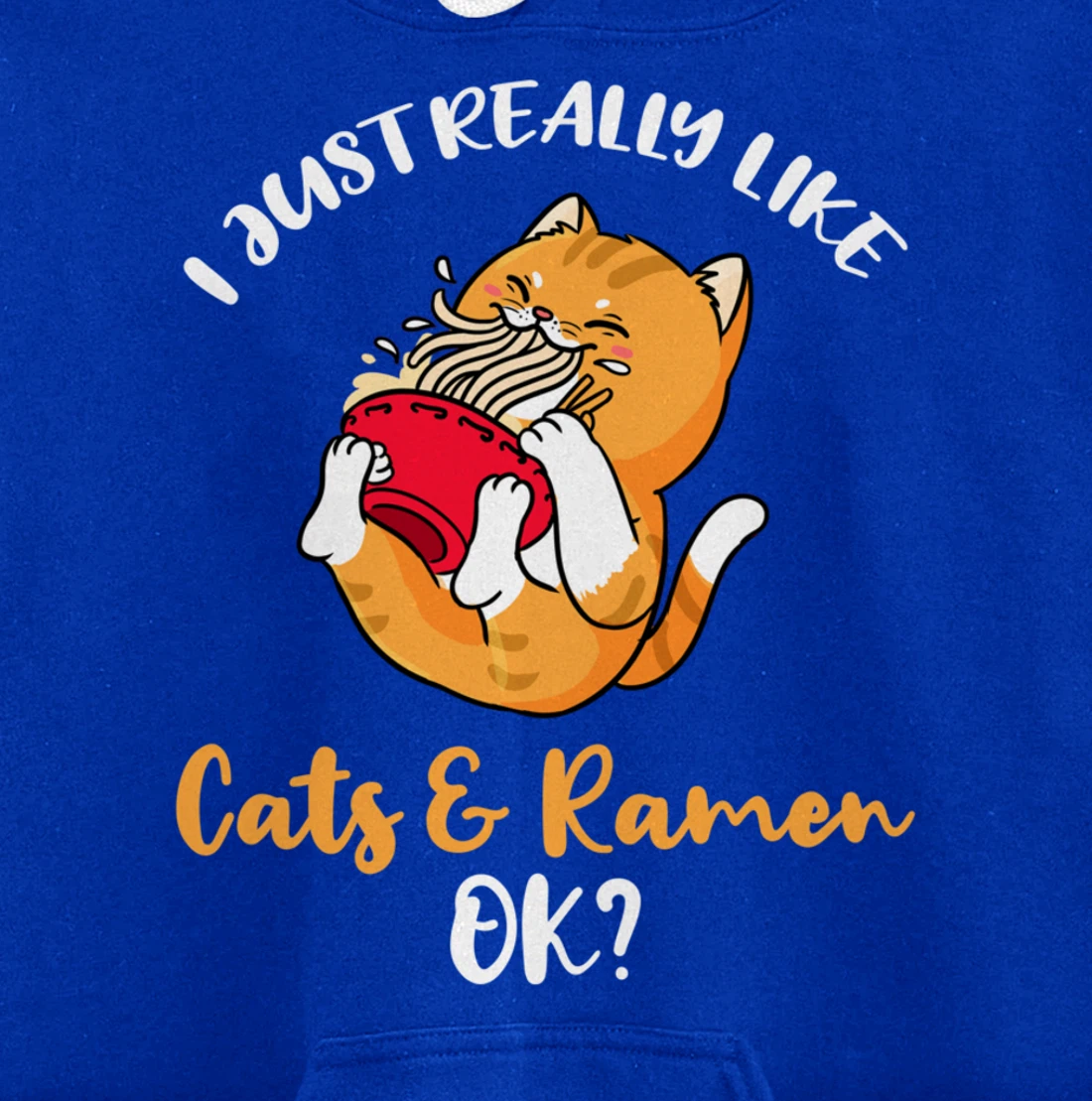 I Just Really Like Cats And Ramen Ok Pullover Hoodie