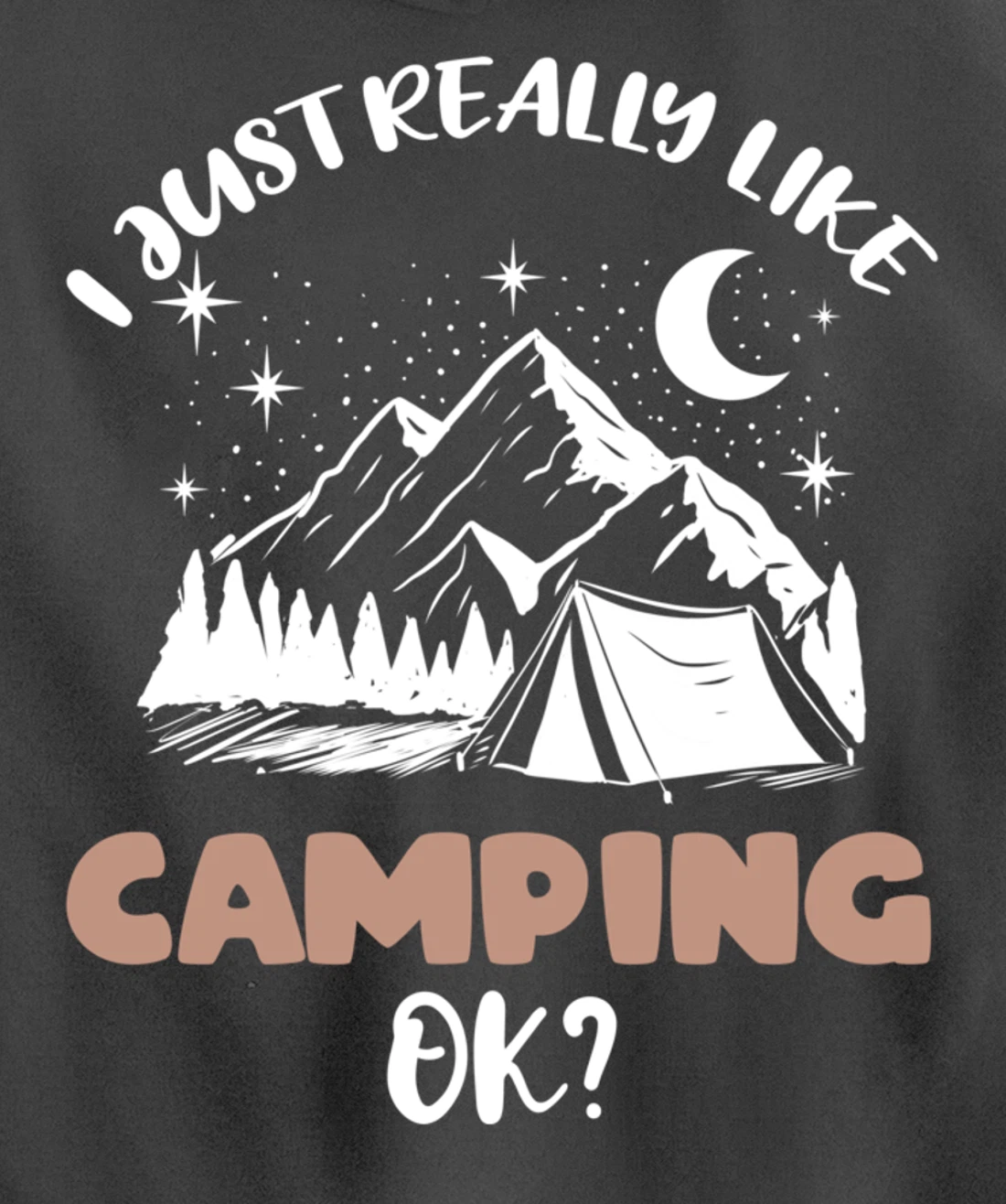 I Just Really Like Camping Ok Pullover Hoodie