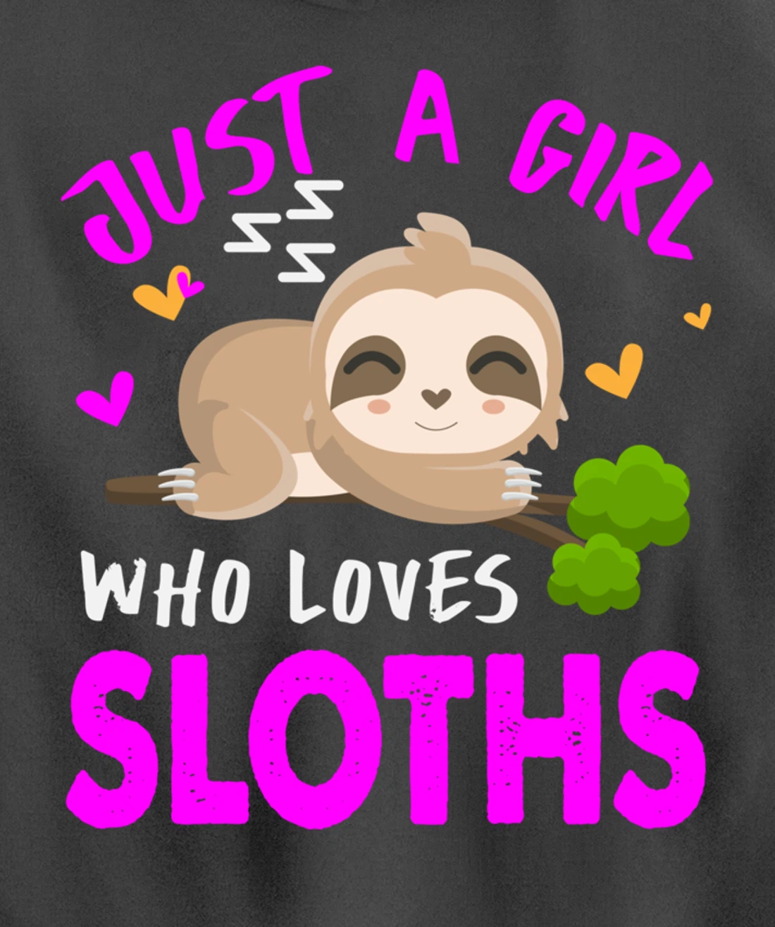 Just a Girl Who Loves Sloths Pullover Hoodie