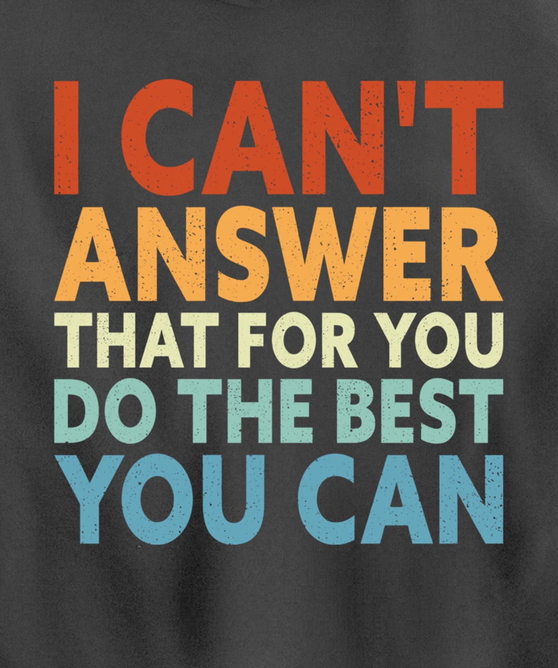 I Can't Answer That For You Do The Best You Can Pullover Hoodie