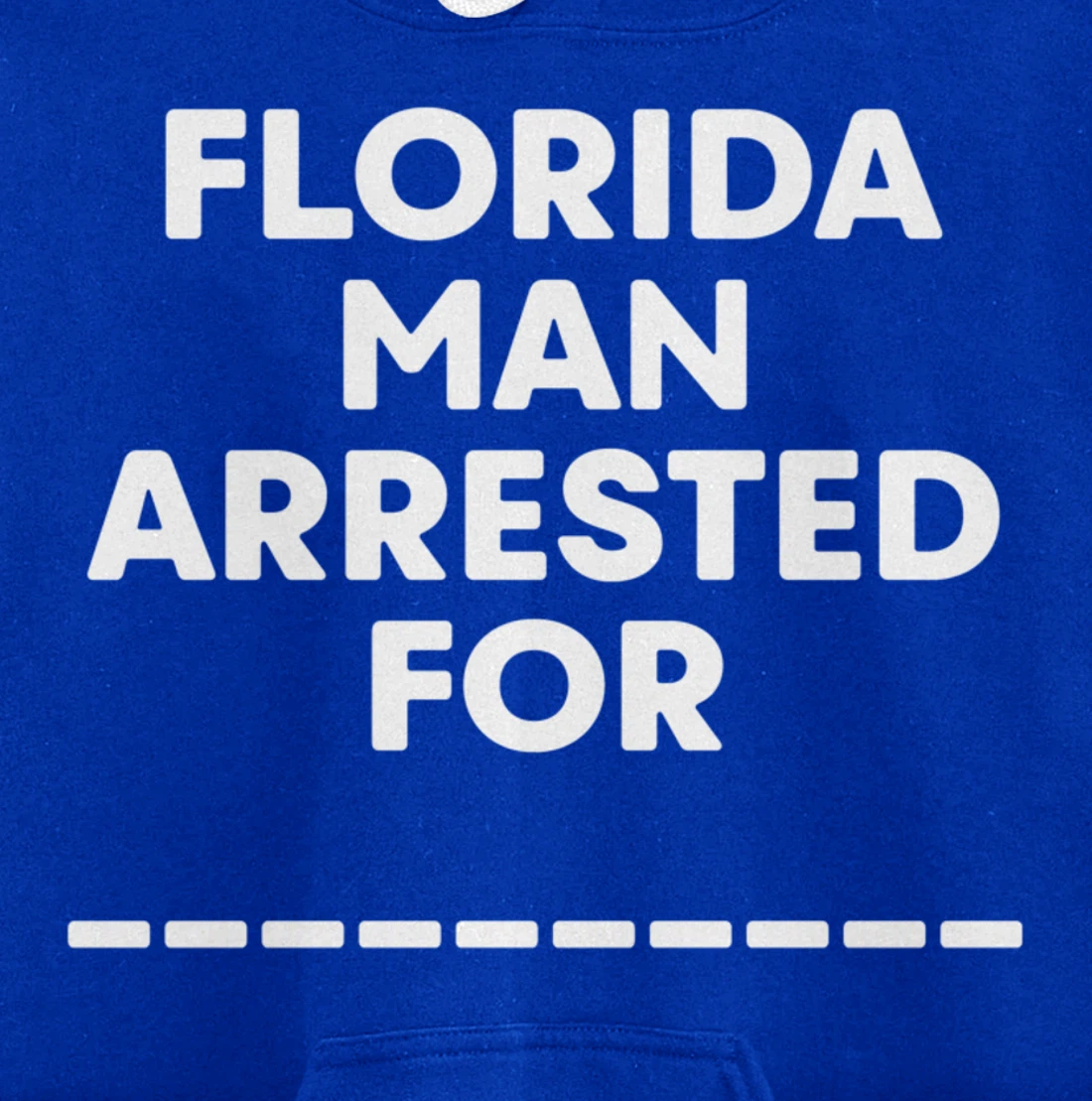Florida Arrested Man For Fill In The Blank Funny Meme News Pullover Hoodie