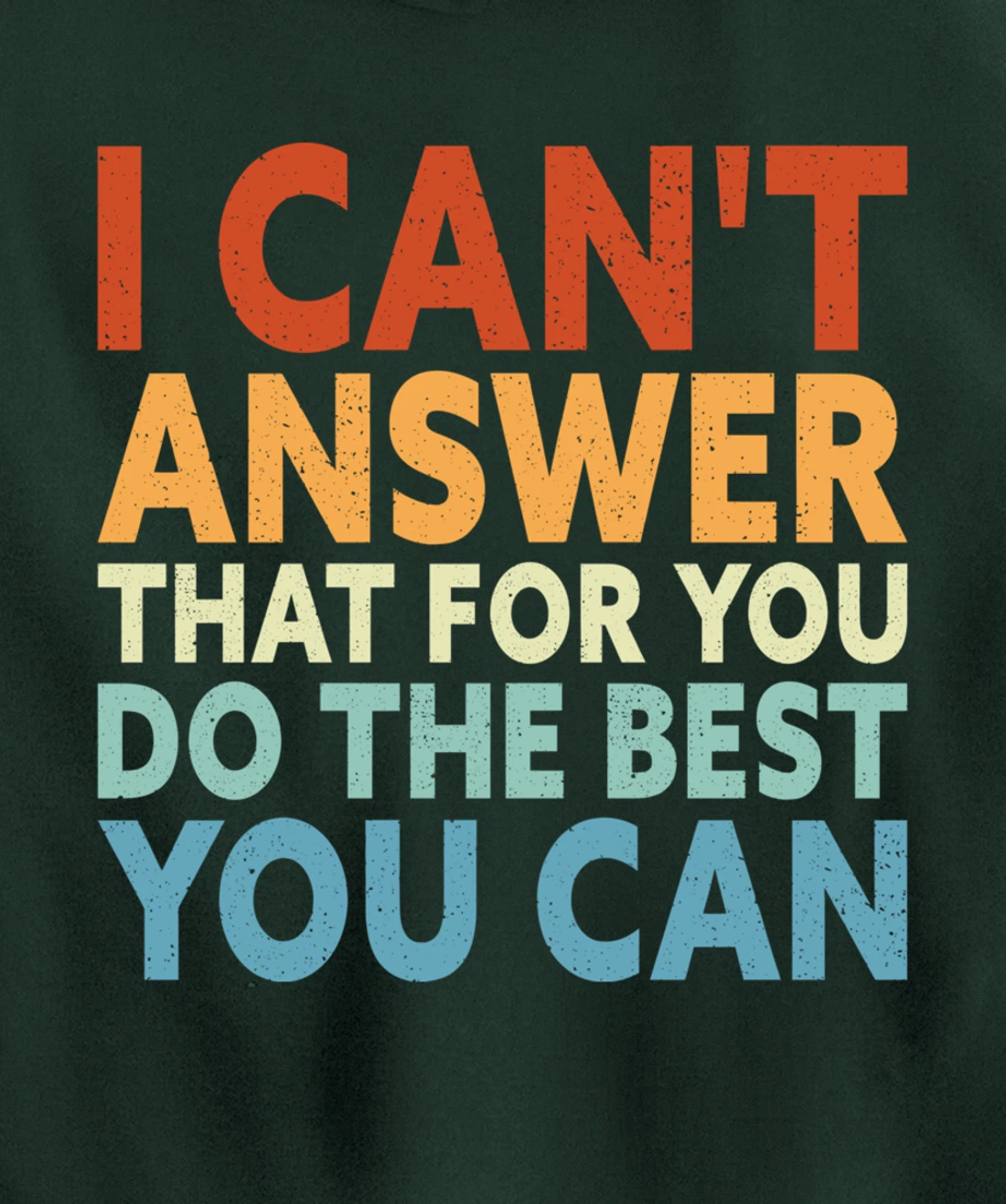 I Can't Answer That For You Do The Best You Can Pullover Hoodie