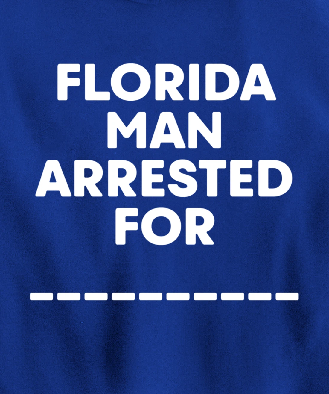 Florida Arrested Man For Fill In The Blank Funny Meme News Pullover Hoodie