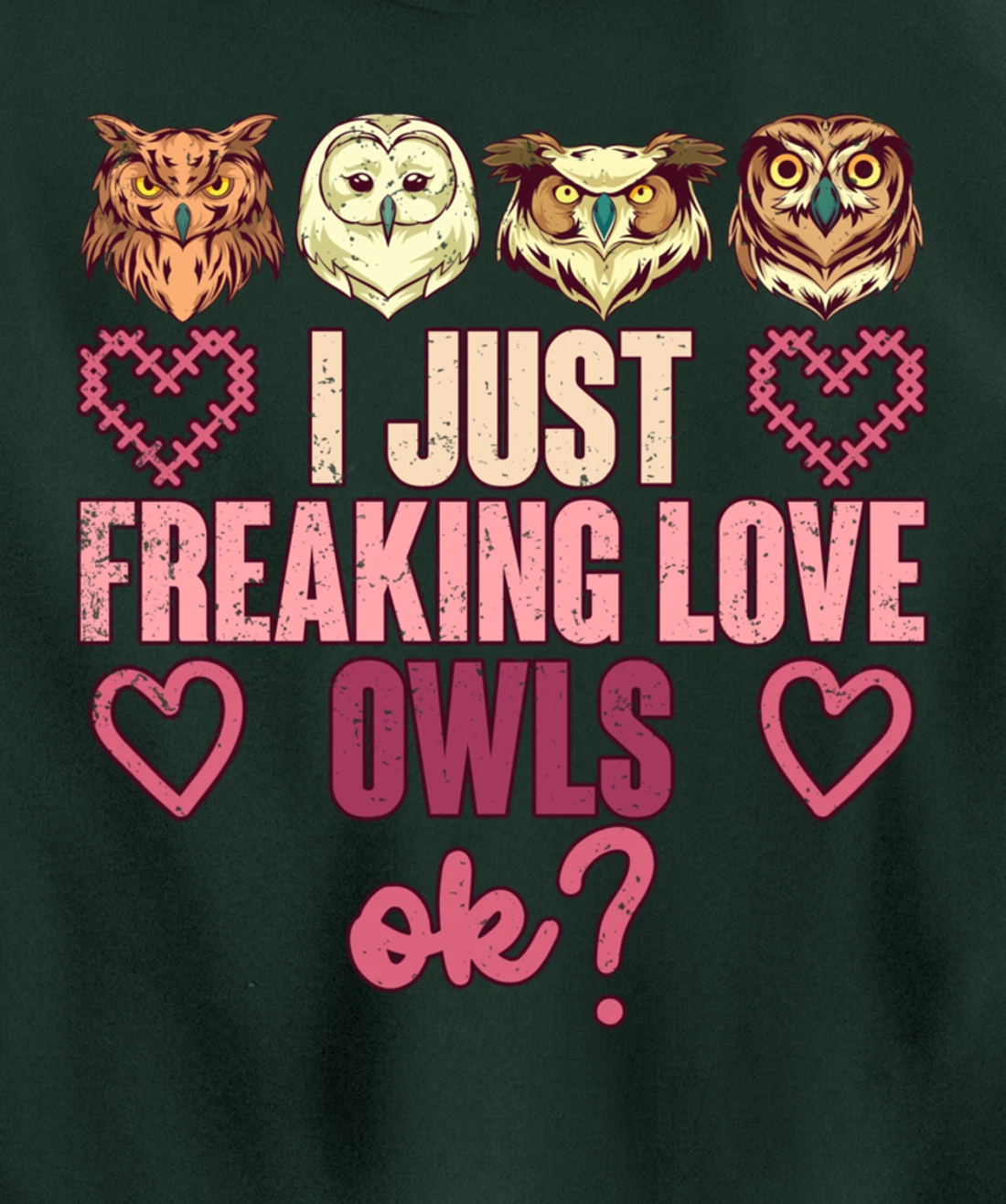 Wise Bird Lover Gift I Just Freaking Love Owls Ok Owl Pullover Hoodie