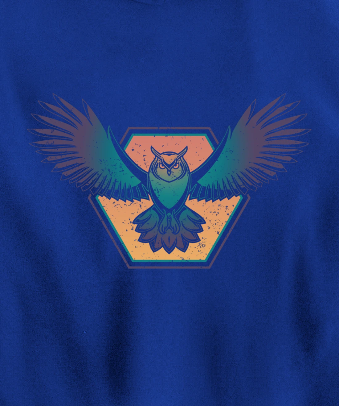 Ornithology Wise Bird Lover Animal Zoo Keeper Forest Owl Pullover Hoodie