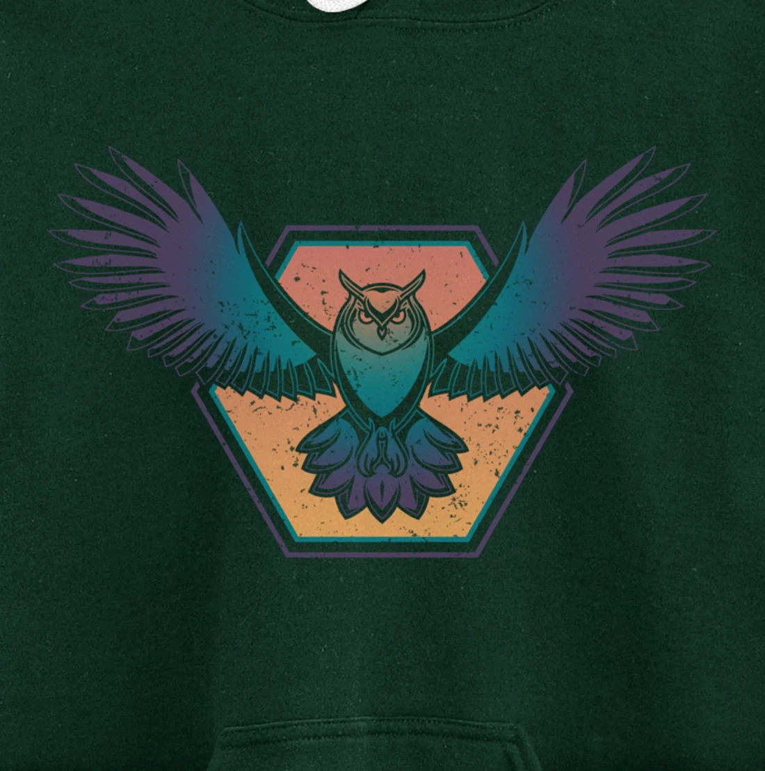 Ornithology Wise Bird Lover Animal Zoo Keeper Forest Owl Pullover Hoodie