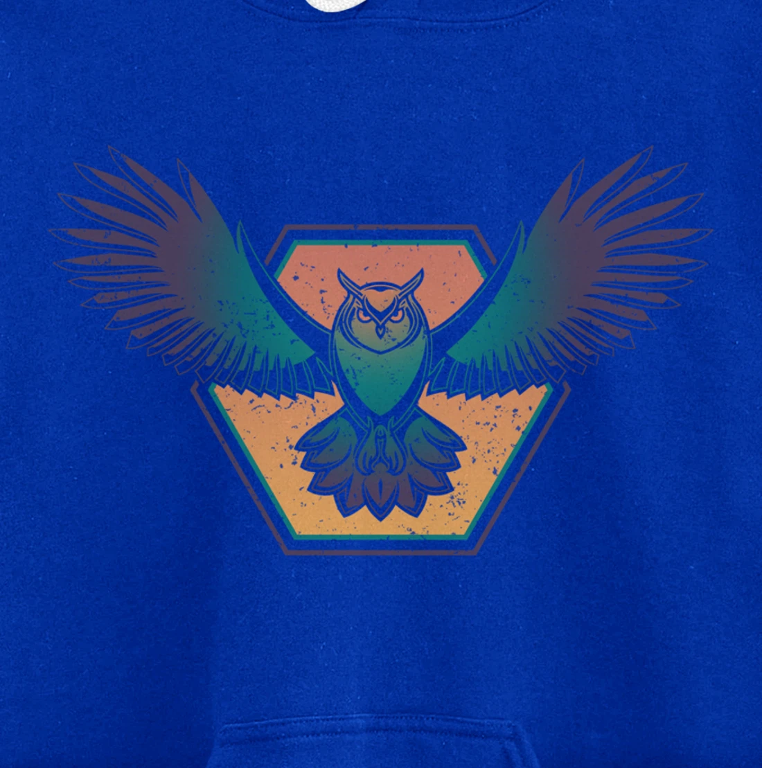 Ornithology Wise Bird Lover Animal Zoo Keeper Forest Owl Pullover Hoodie