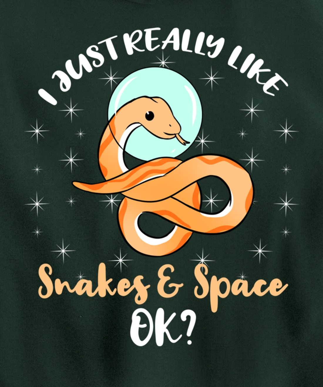 I Just Really Like Snakes And Space Ok Pullover Hoodie