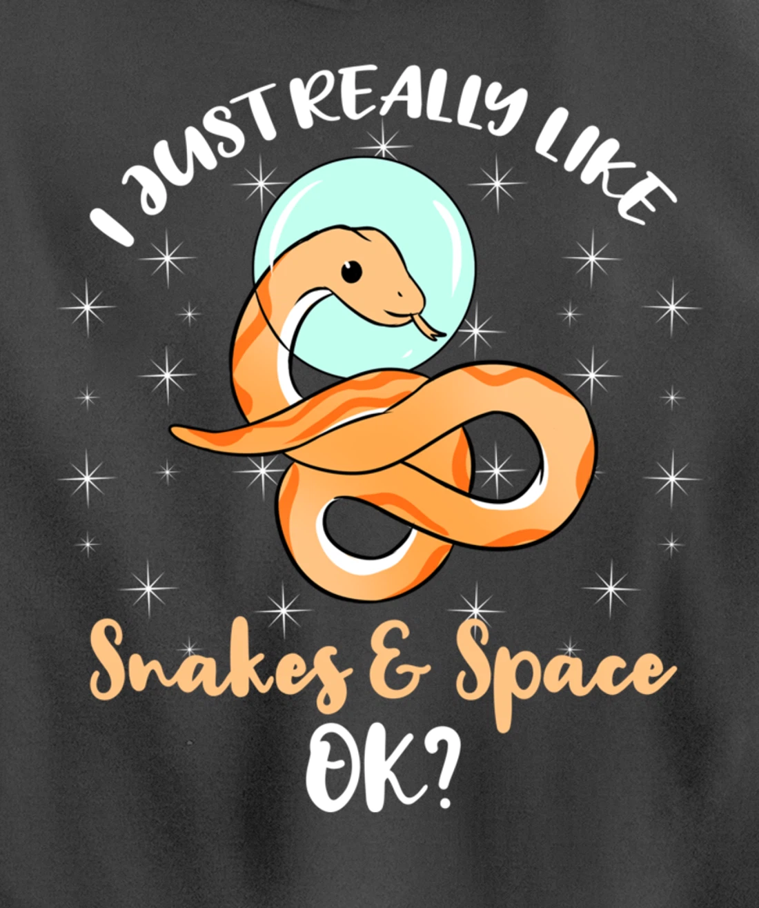 I Just Really Like Snakes And Space Ok Pullover Hoodie