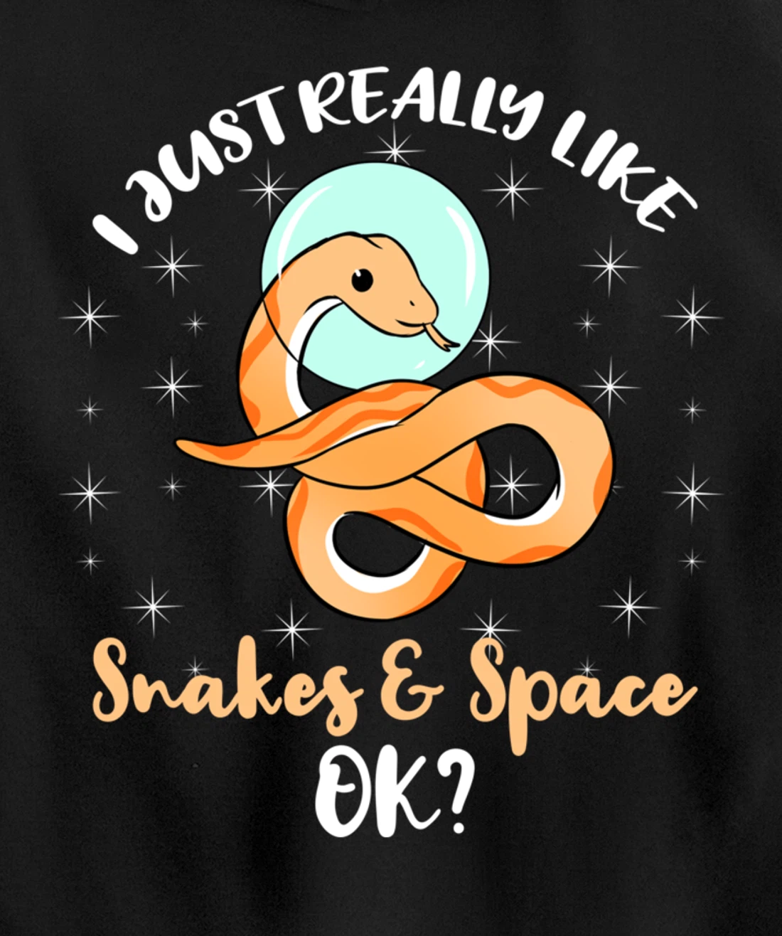 I Just Really Like Snakes And Space Ok Pullover Hoodie