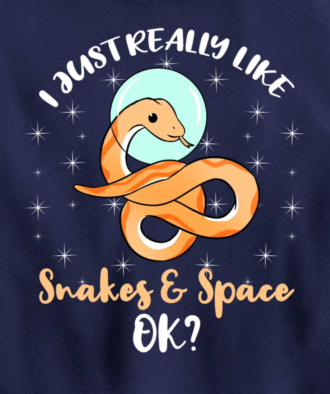 I Just Really Like Snakes And Space Ok Pullover Hoodie