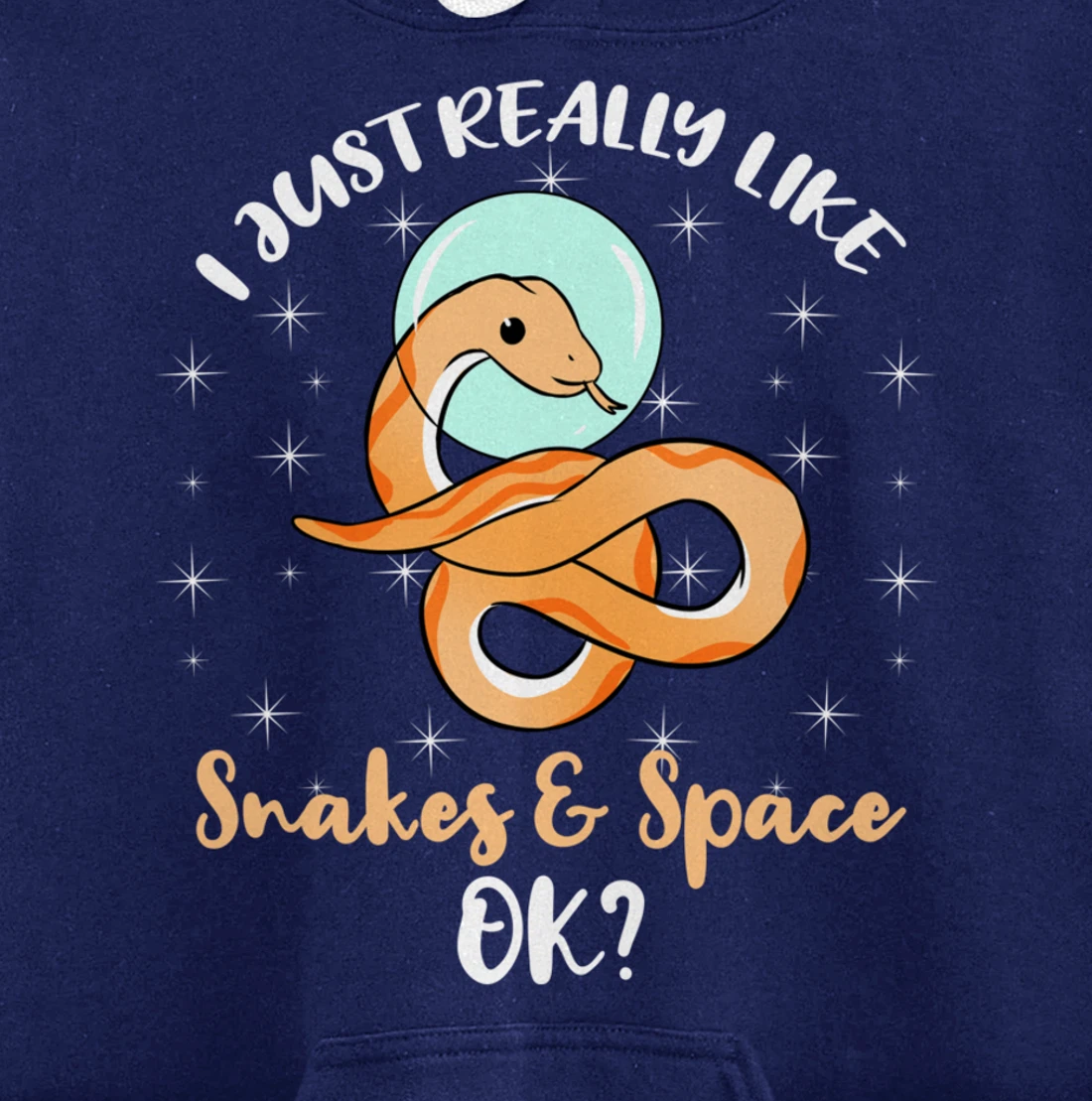 I Just Really Like Snakes And Space Ok Pullover Hoodie
