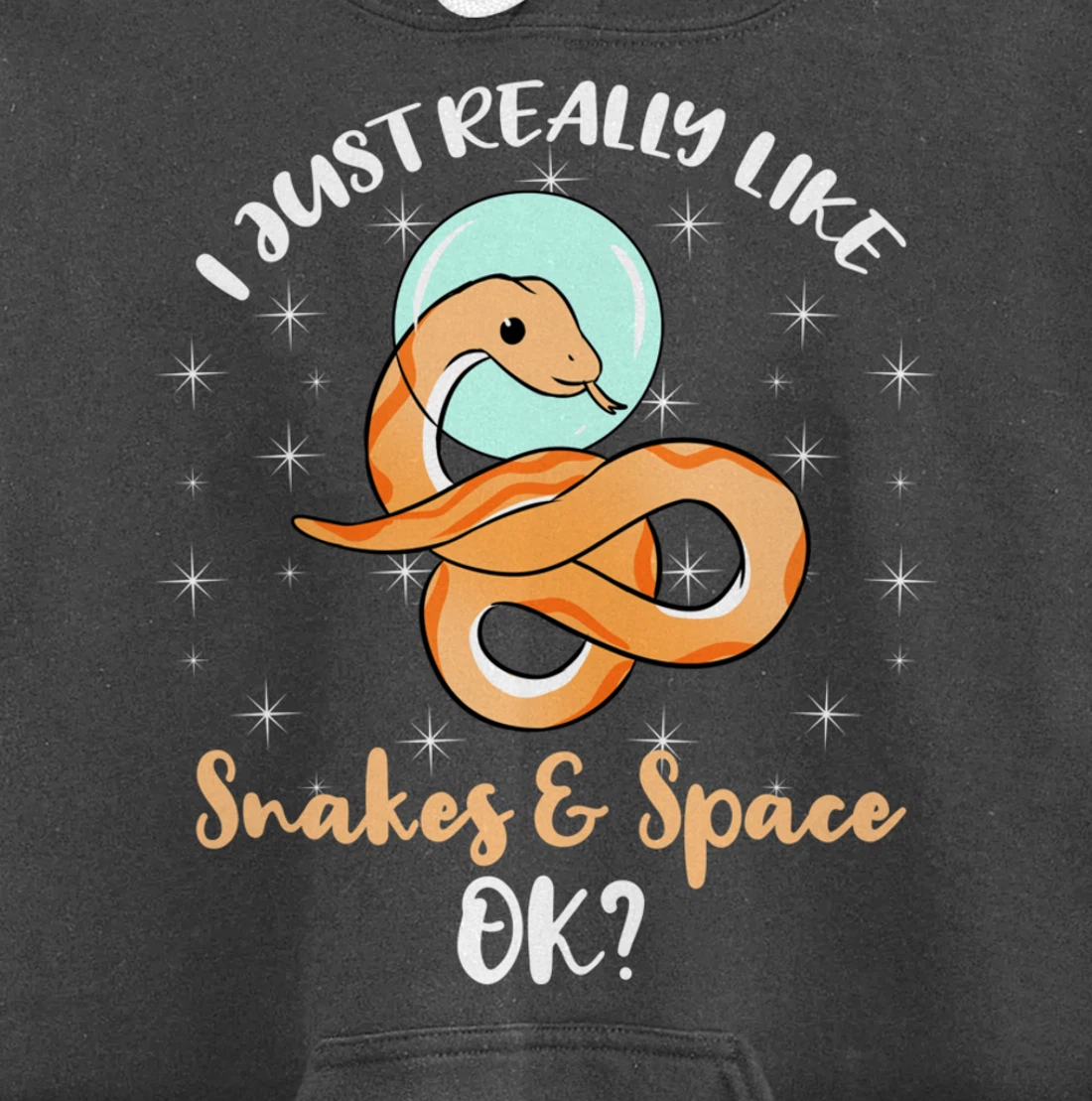 I Just Really Like Snakes And Space Ok Pullover Hoodie