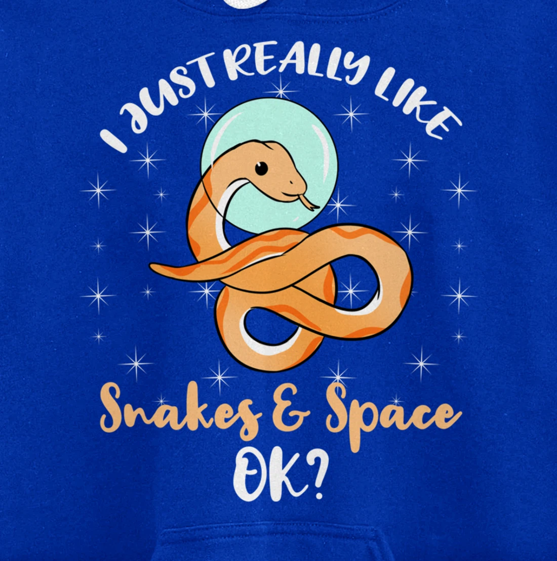 I Just Really Like Snakes And Space Ok Pullover Hoodie