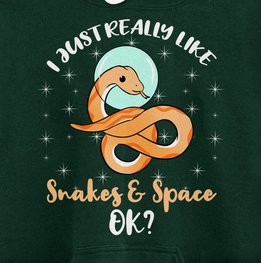 I Just Really Like Snakes And Space Ok Pullover Hoodie