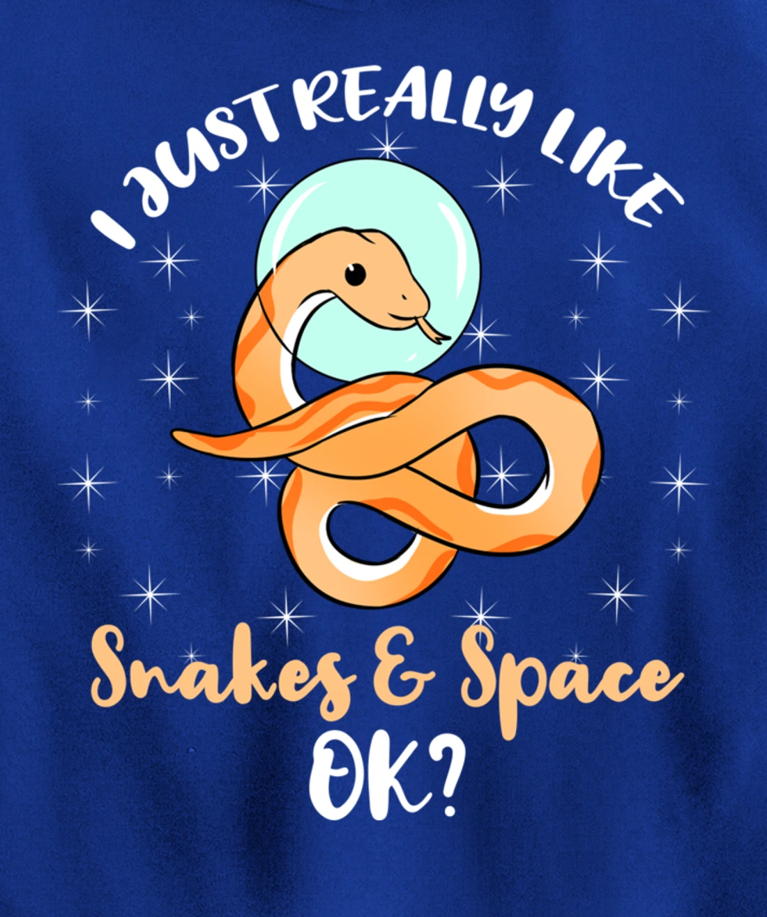 I Just Really Like Snakes And Space Ok Pullover Hoodie