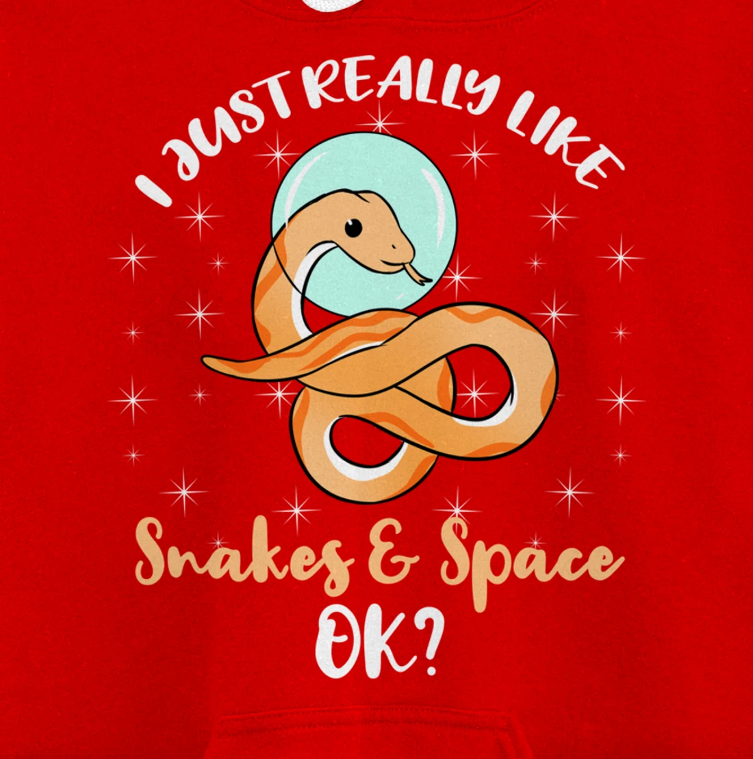 I Just Really Like Snakes And Space Ok Pullover Hoodie
