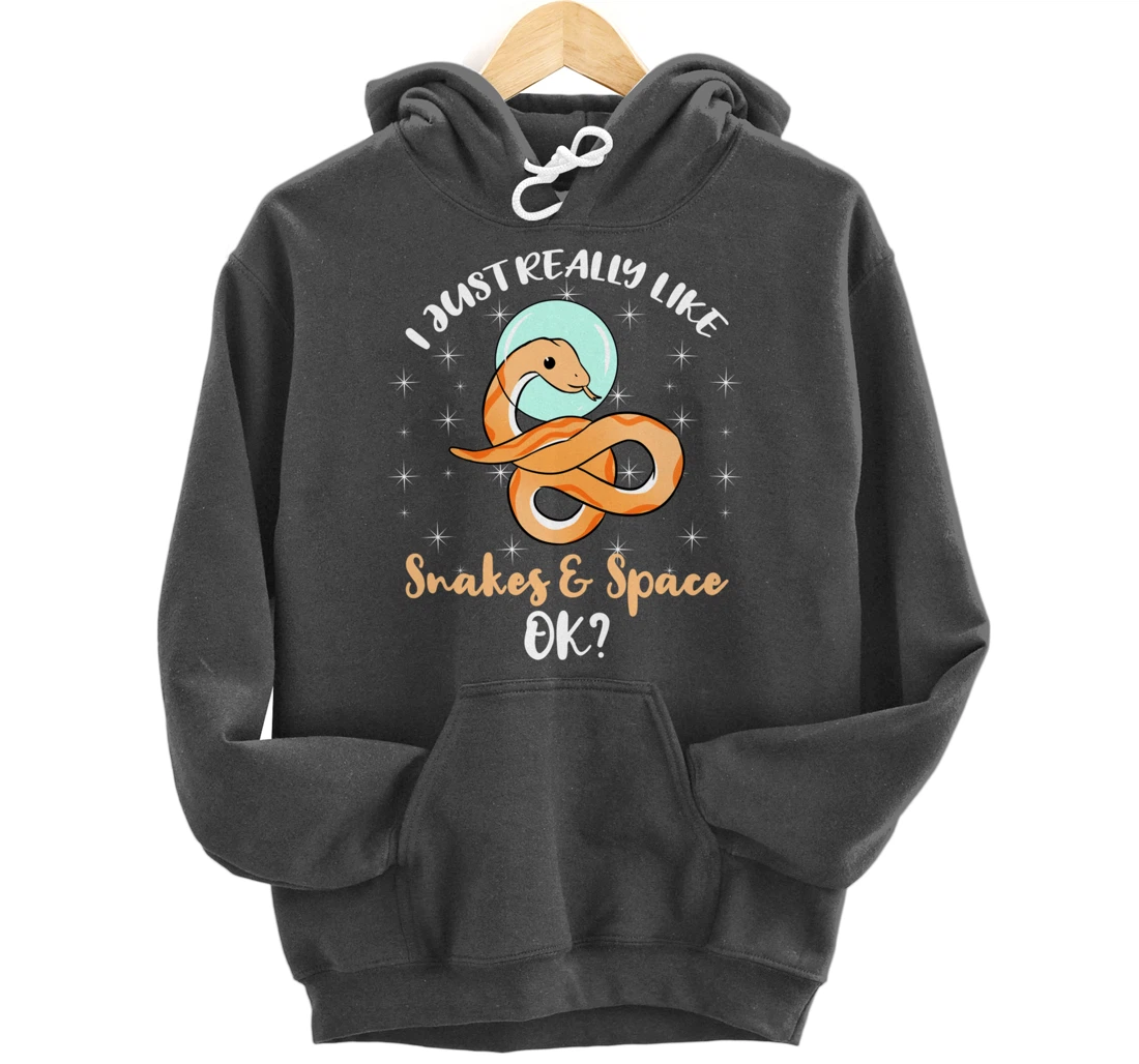 I Just Really Like Snakes And Space Ok Pullover Hoodie