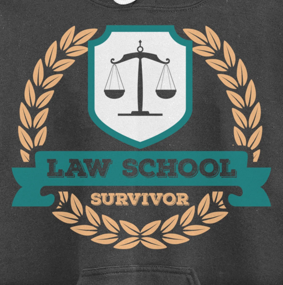Law School Survivor Law School Graduate Attorney Design Pullover Hoodie