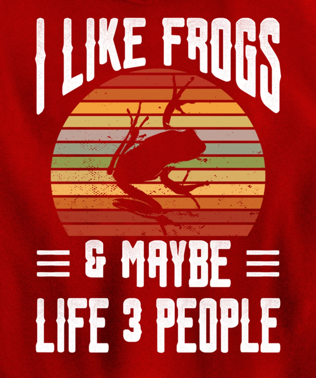 Funny Frog Lover I Like Frogs and Maybe 3 People Themed Pullover Hoodie