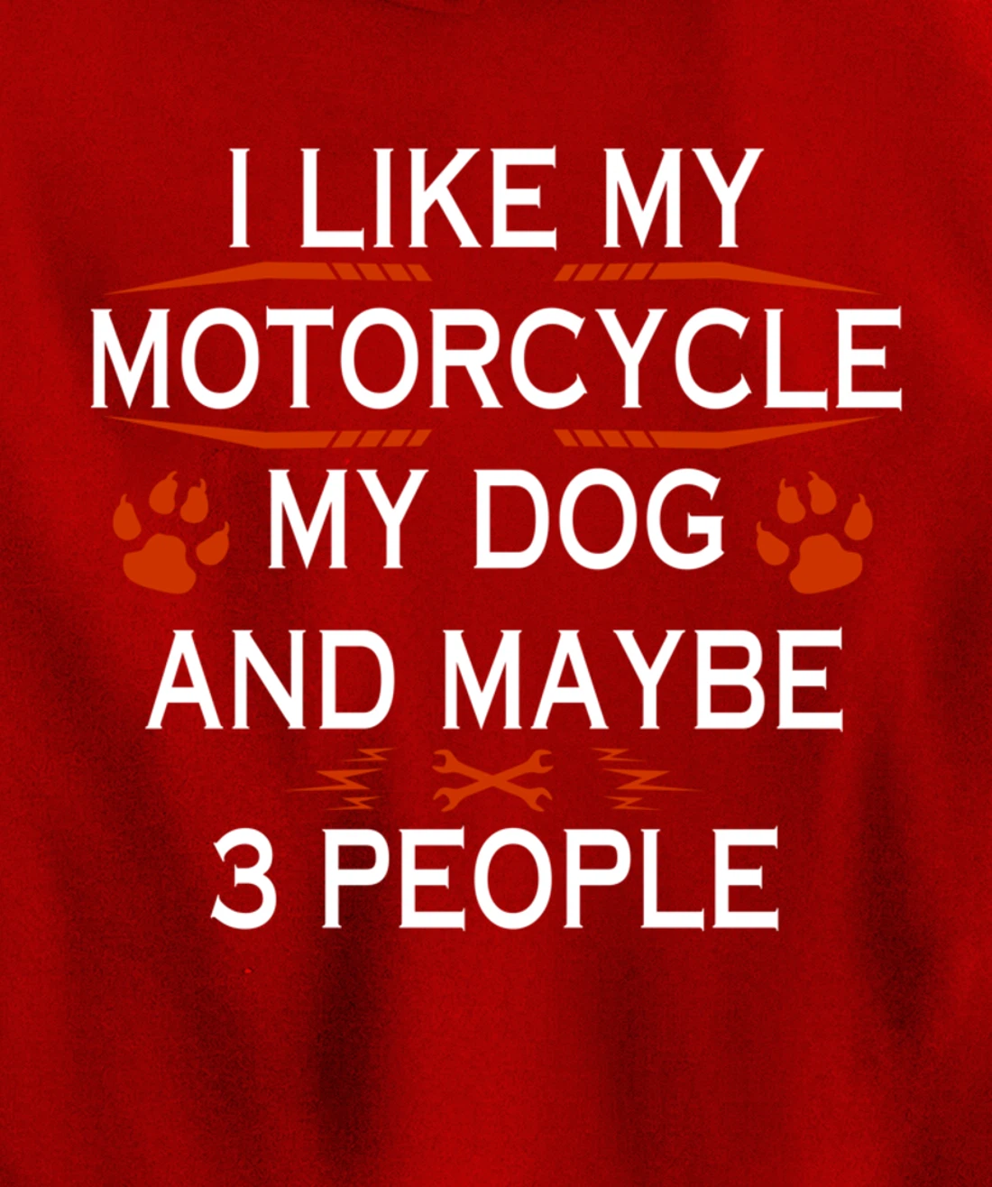 Funny Biker I Like My Motorcycle Dog And Maybe 3 People Pullover Hoodie