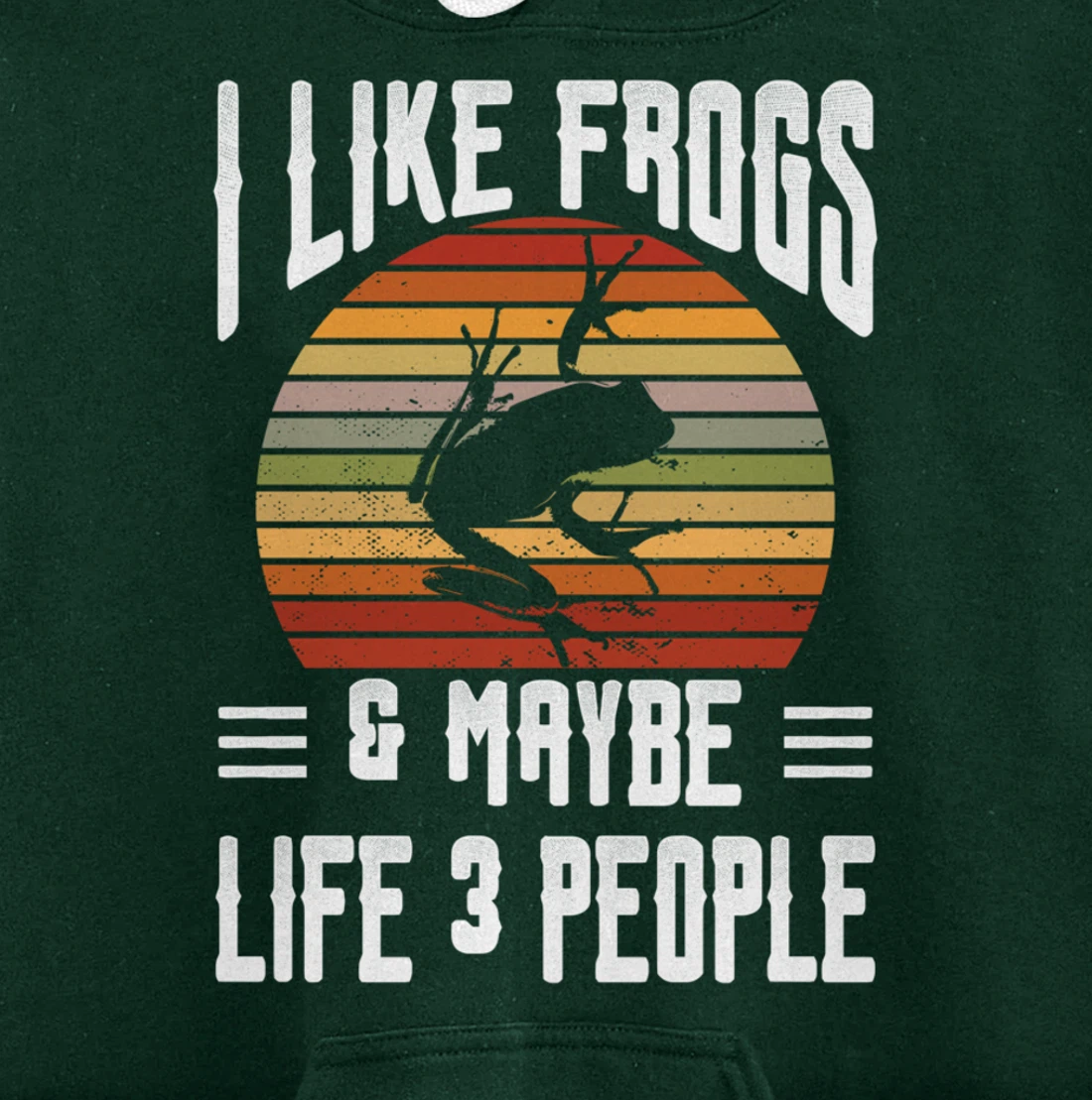 Funny Frog Lover I Like Frogs and Maybe 3 People Themed Pullover Hoodie