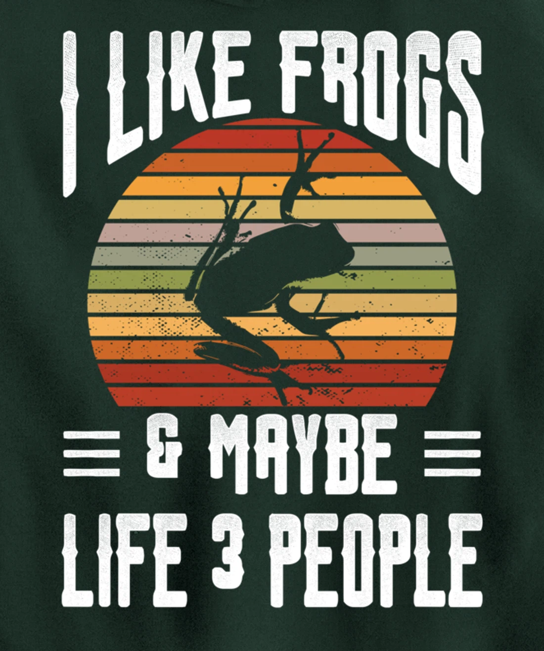 Funny Frog Lover I Like Frogs and Maybe 3 People Themed Pullover Hoodie