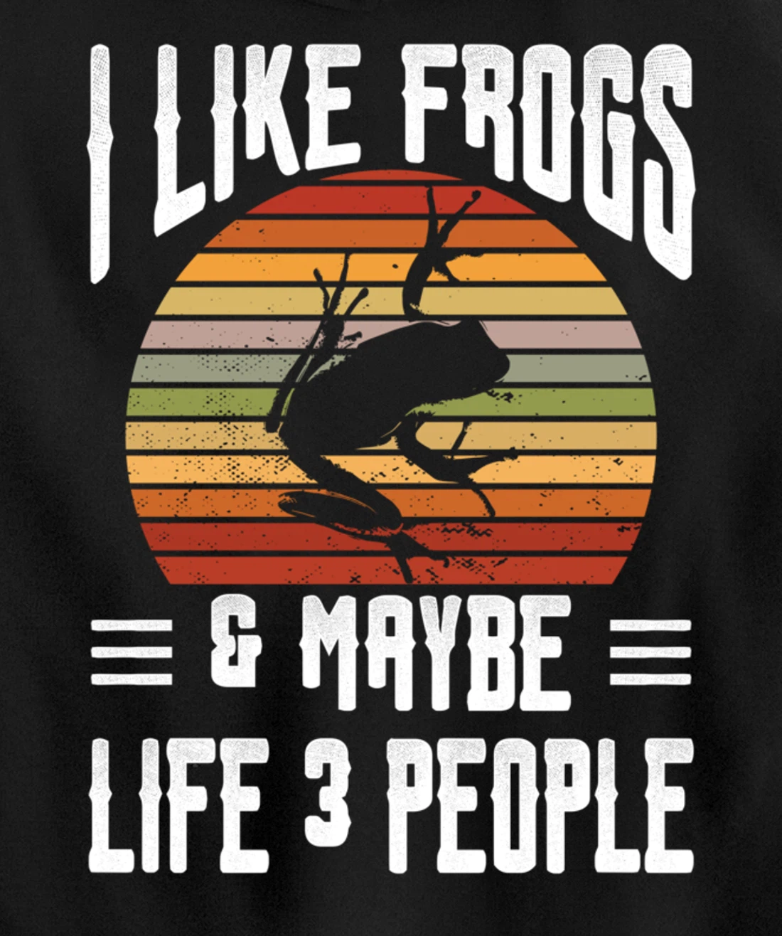Funny Frog Lover I Like Frogs and Maybe 3 People Themed Pullover Hoodie