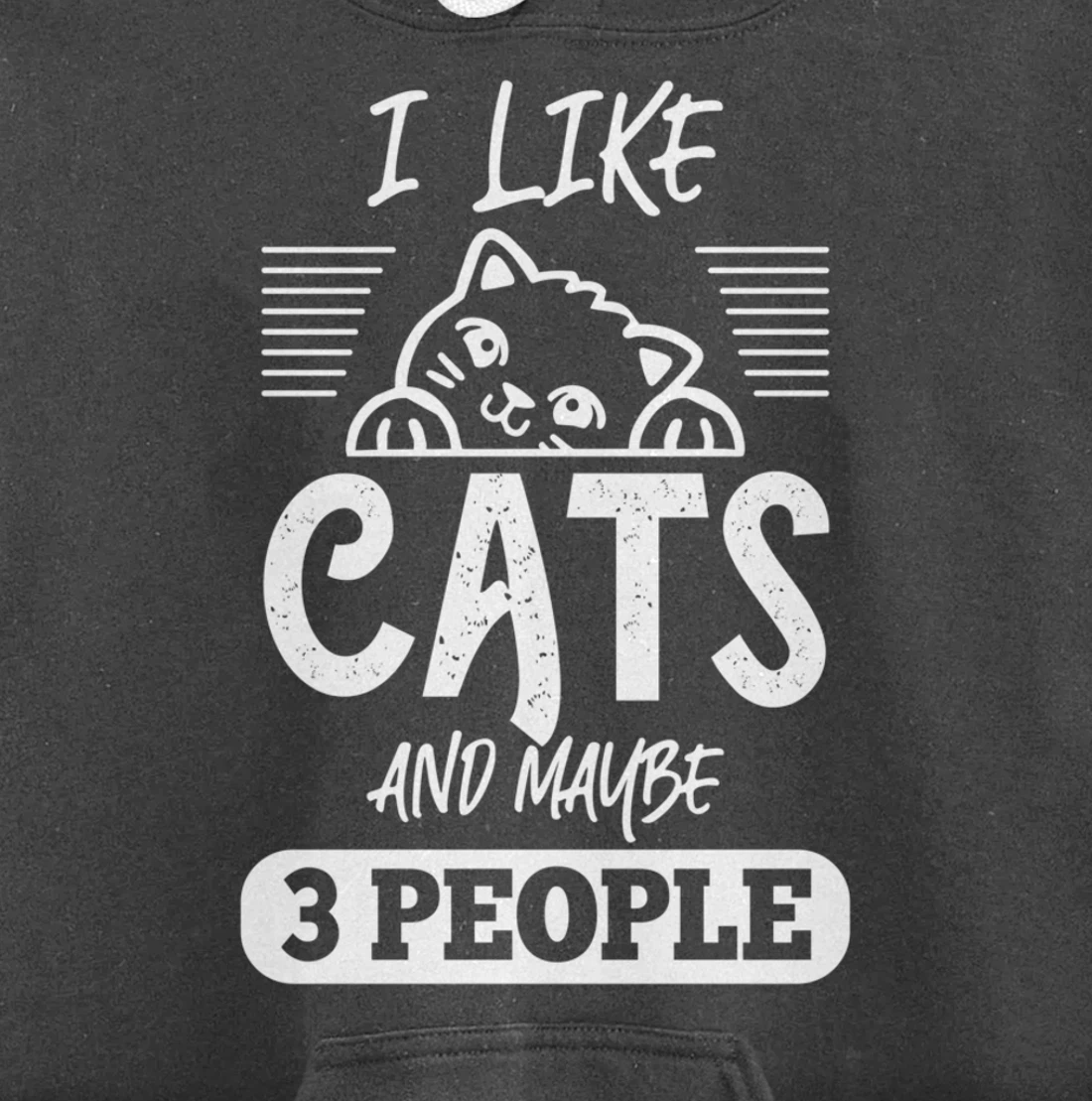 I Like Cats And Maybe 3 People Funny Cats Kittens Themed Pullover Hoodie
