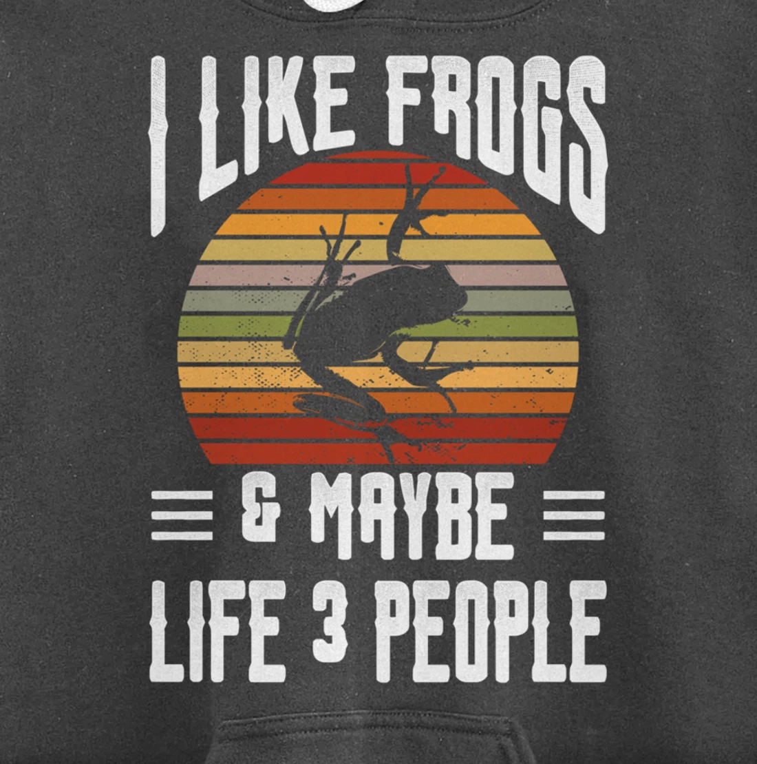 Funny Frog Lover I Like Frogs and Maybe 3 People Themed Pullover Hoodie