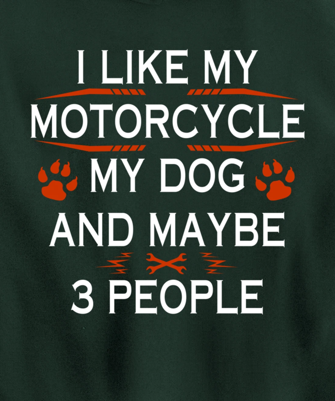 Funny Biker I Like My Motorcycle Dog And Maybe 3 People Pullover Hoodie