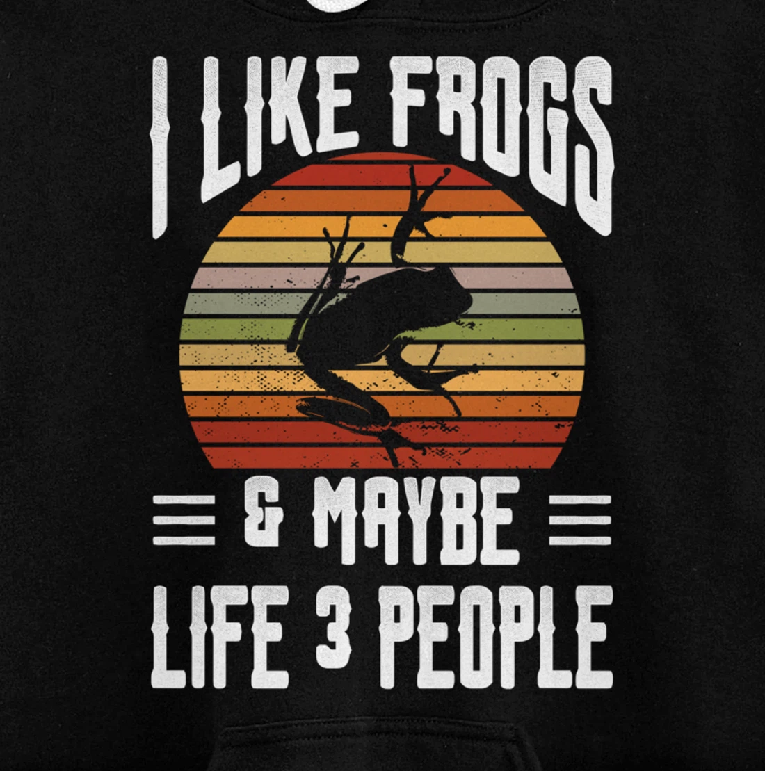 Funny Frog Lover I Like Frogs and Maybe 3 People Themed Pullover Hoodie