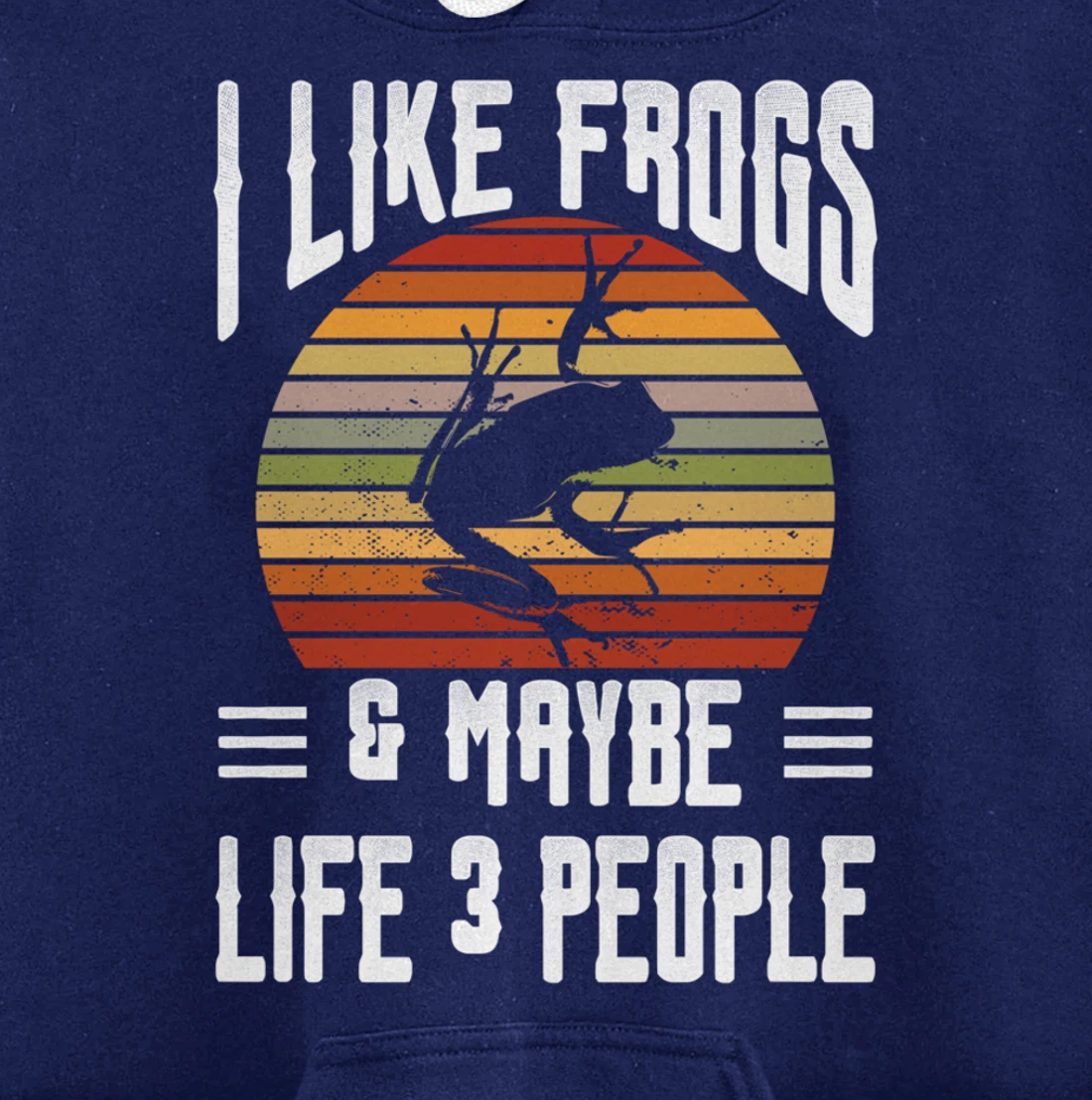 Funny Frog Lover I Like Frogs and Maybe 3 People Themed Pullover Hoodie