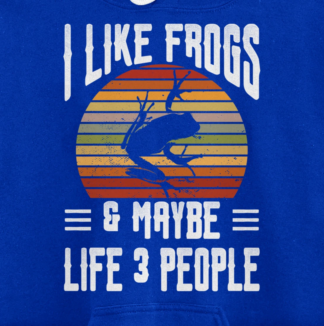 Funny Frog Lover I Like Frogs and Maybe 3 People Themed Pullover Hoodie