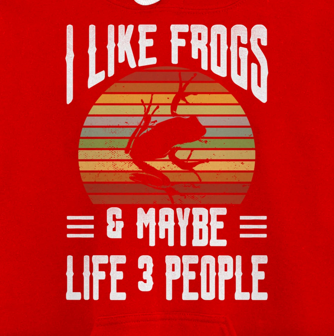 Funny Frog Lover I Like Frogs and Maybe 3 People Themed Pullover Hoodie