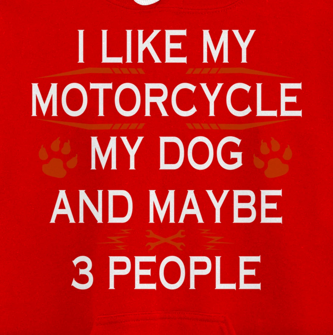 Funny Biker I Like My Motorcycle Dog And Maybe 3 People Pullover Hoodie