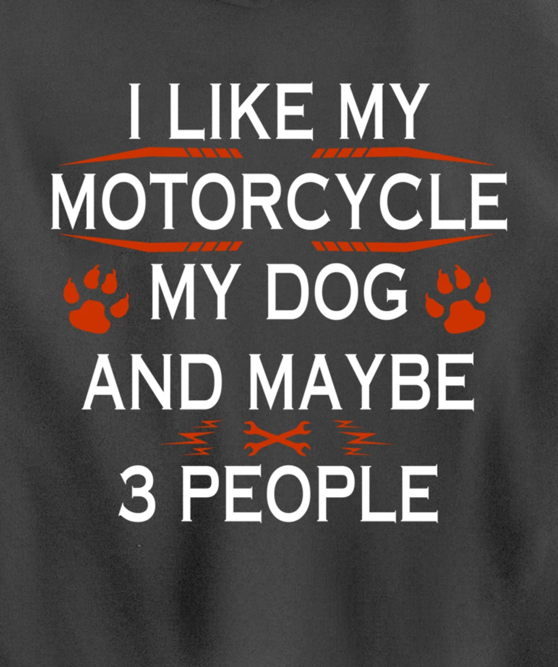 Funny Biker I Like My Motorcycle Dog And Maybe 3 People Pullover Hoodie