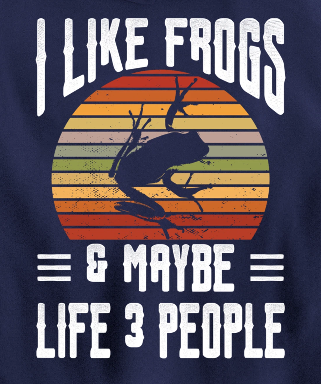 Funny Frog Lover I Like Frogs and Maybe 3 People Themed Pullover Hoodie