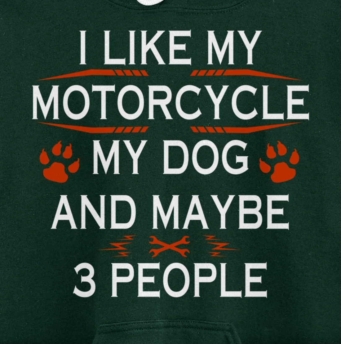 Funny Biker I Like My Motorcycle Dog And Maybe 3 People Pullover Hoodie