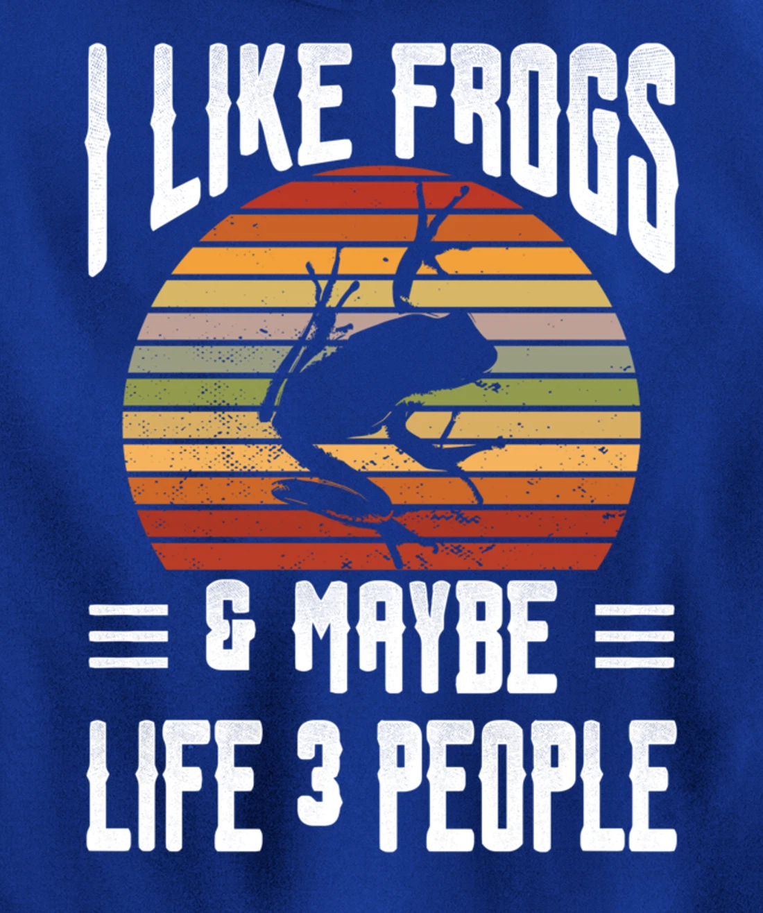 Funny Frog Lover I Like Frogs and Maybe 3 People Themed Pullover Hoodie