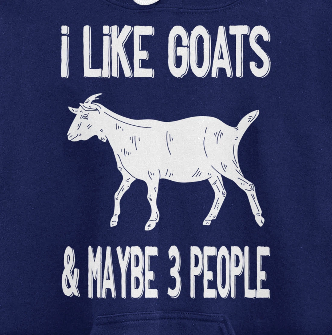 Funny Farm Introvert - I Like Goats & Maybe 3 People Pullover Hoodie